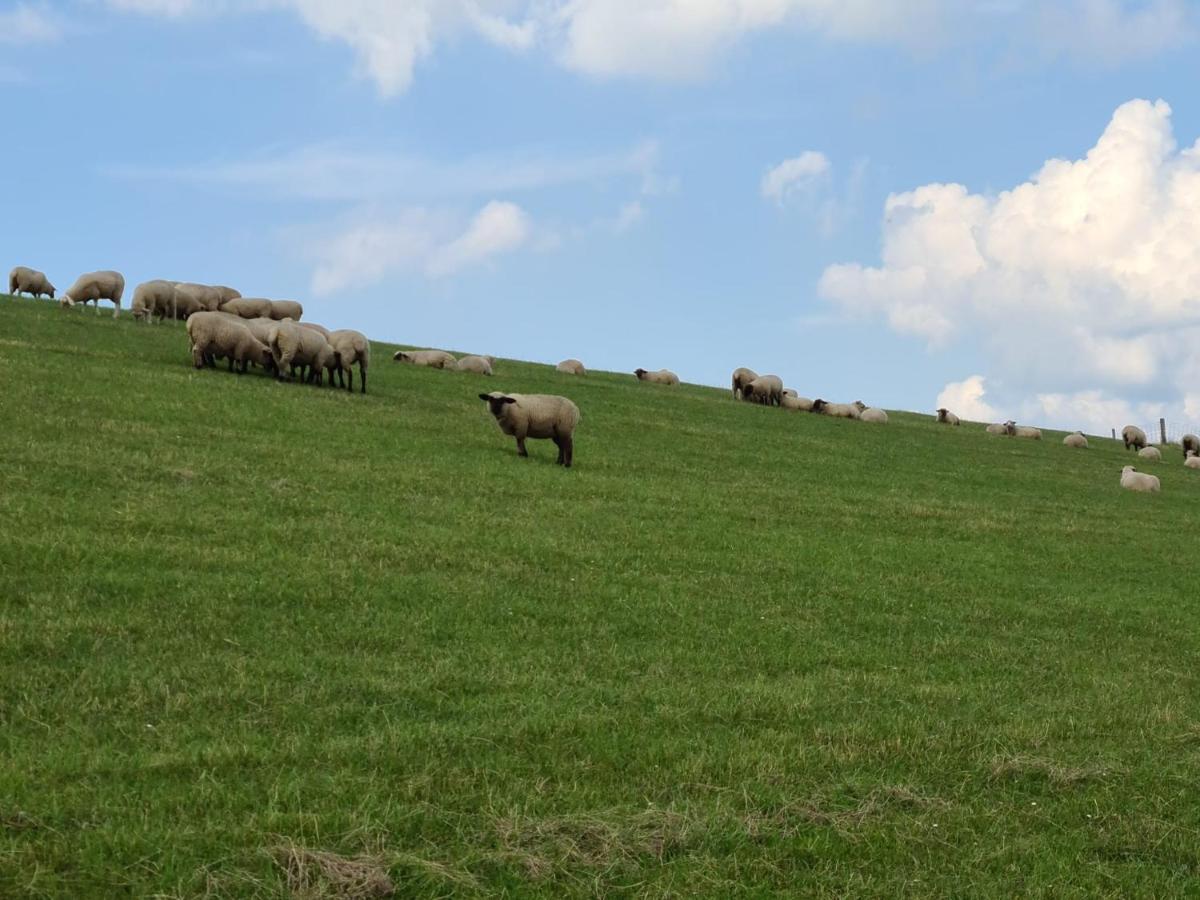 Watt'N Blick - Hundefreundliches Ferienhaus Mit Ausblick Ueber Die Wiesen Bis Zum Deich Schweiburg Zewnętrze zdjęcie